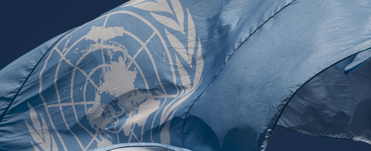 UN Flag