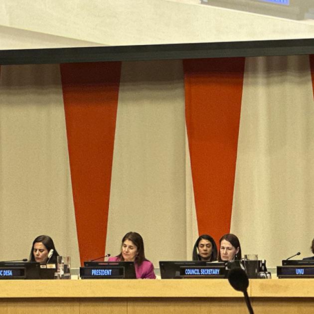 ECOSOC UNICRI event